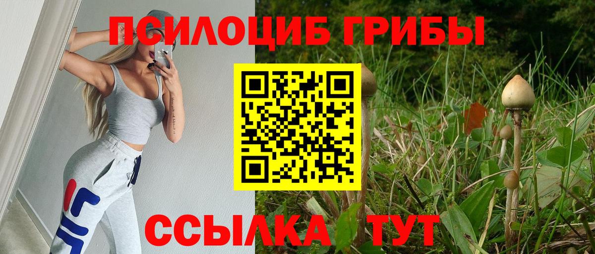 Псков  где купить наркоту  Вход с VPN  Псилоцибиновые грибы MAGIC MUSHROOMS 